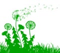 Abstract green dandelion with flying seeds - vector Royalty Free Stock Photo